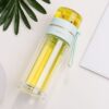 Double Wall Glass Water Bottle With Tea Infuser Filter