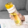 Double Wall Glass Water Bottle With Tea Infuser Filter