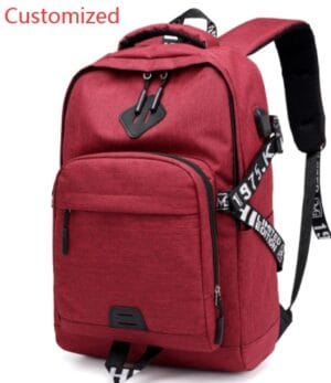 Laptop  USB Charge Backpack